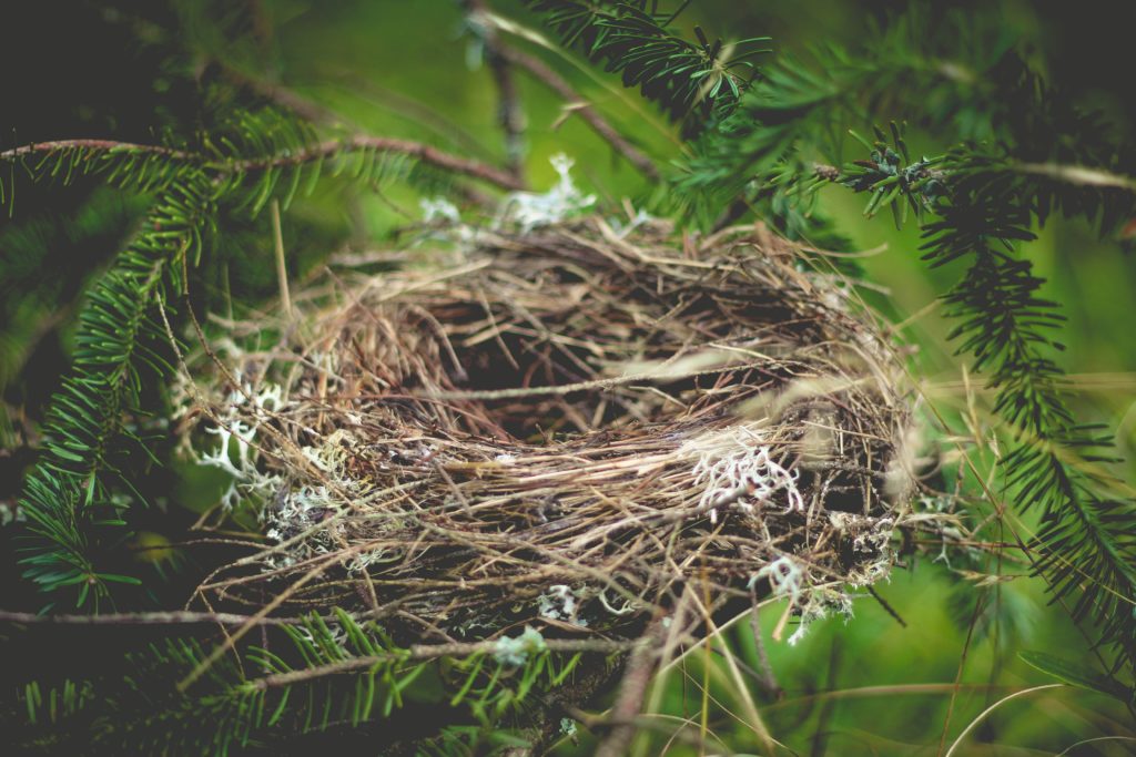 Empty Nest? Some top tips if you’re considering downsizing